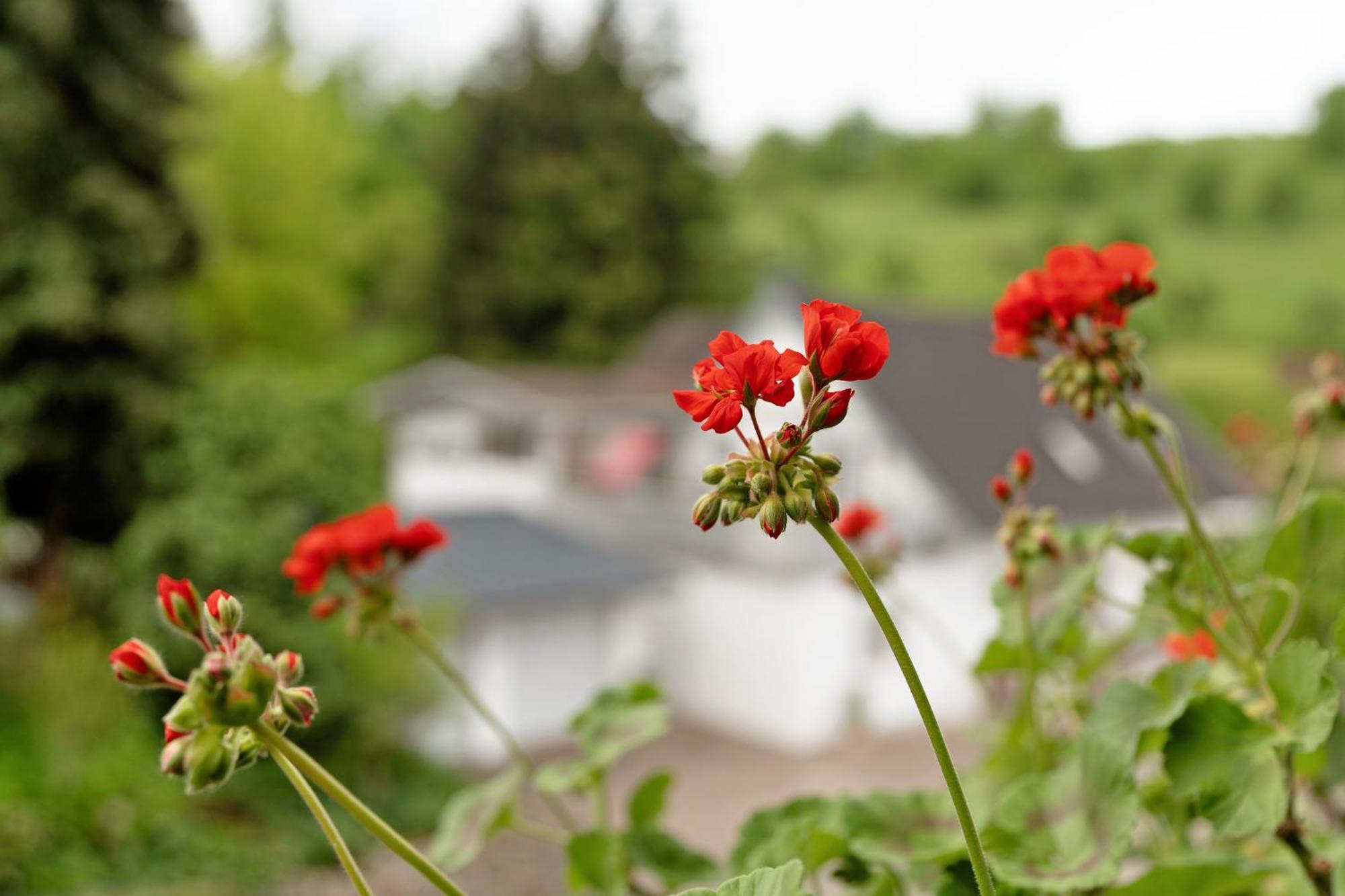 Ferienwohnung Serr Lauf Exteriér fotografie